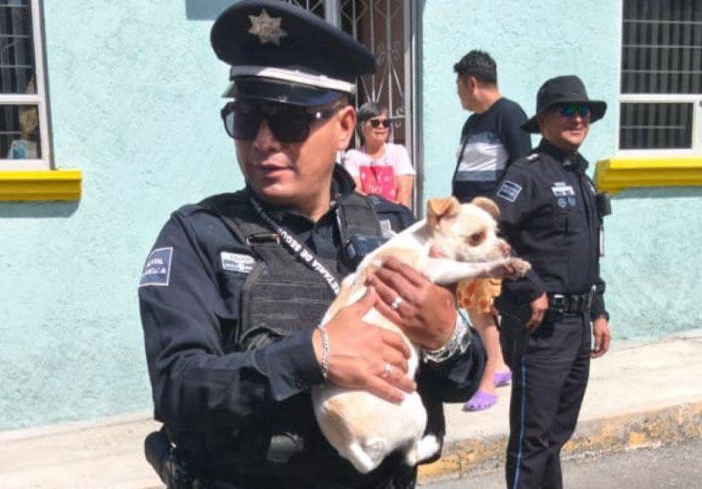 Policía Municipal de Tlaxcala rescata y resguarda a perrito en explosión en Acuitlapilco